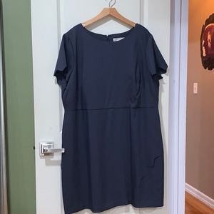 Scallop sleeve dress